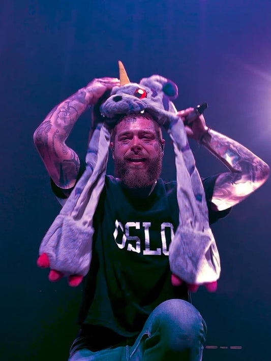 AONE4SURE Gabumon Digimon anime plush hat